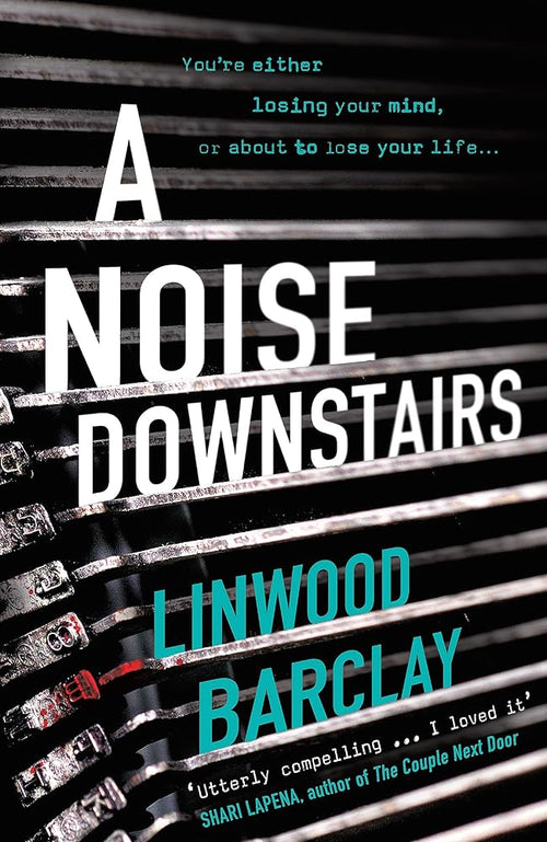 A Noise Downstairs cover image